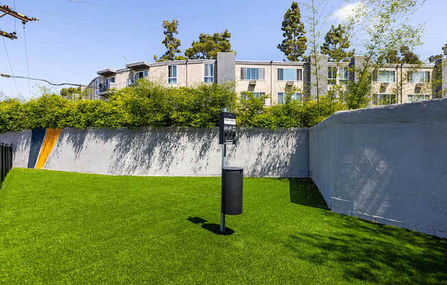 A small backyard with a green lawn and a wall with a yellow stripe.
