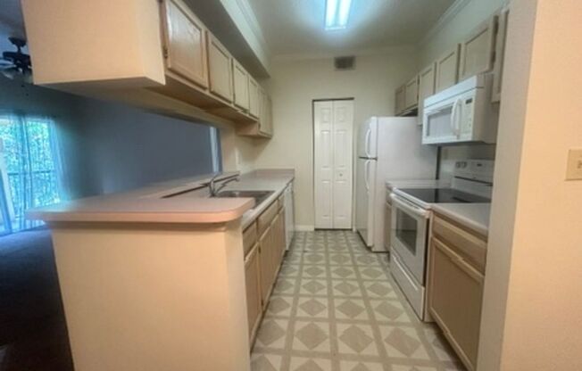 Third floor 1B/1B condo with balcony at The Pinnacle in Carrollwood ! $1425/mo