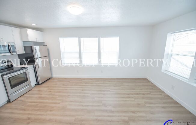 1 bed, 1 bath, 402 sqft, $1,249, Unit 132- (41)