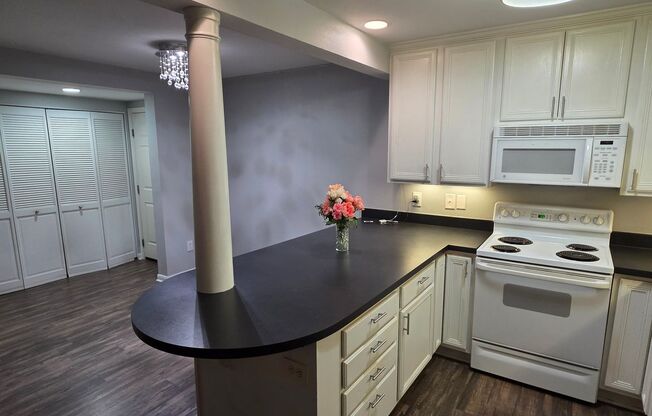 2 bedroom 2 bath downtown condo