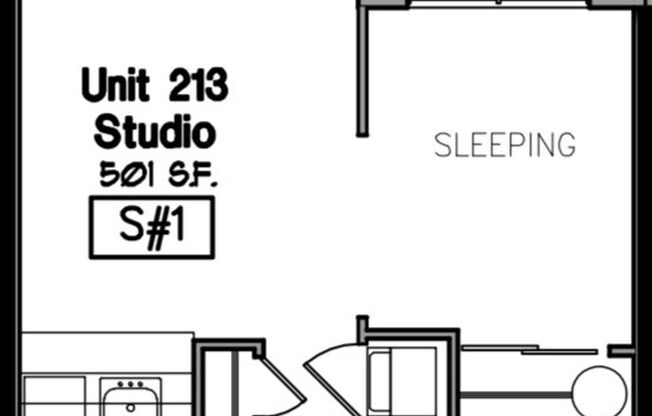 Studio, 1 bath, 501 sqft, $1,600, Unit 213