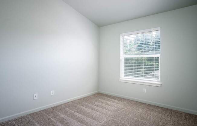 A room with a window and carpeted floor.