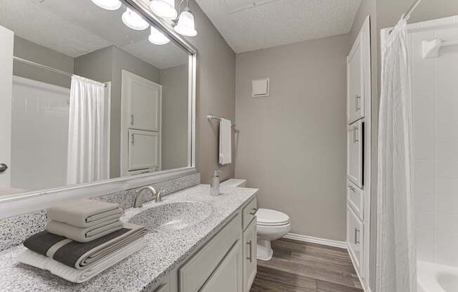 A bathroom with a toilet, sink, and mirror.
