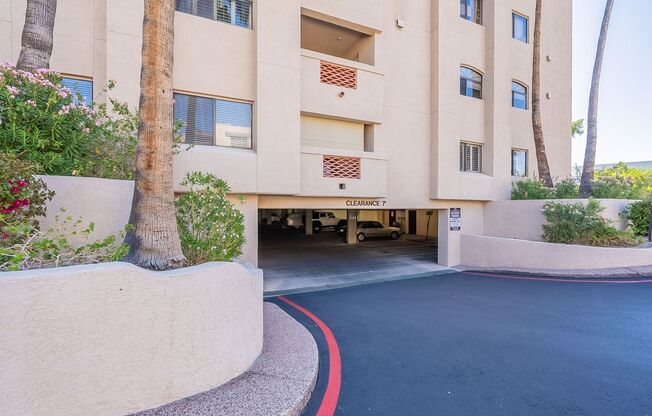 1 bed, 1 bath, $1,600, Unit #337