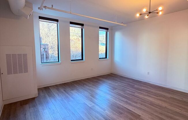 Studio, 1 bath, 615 sqft, $1,500, Unit Unit 407