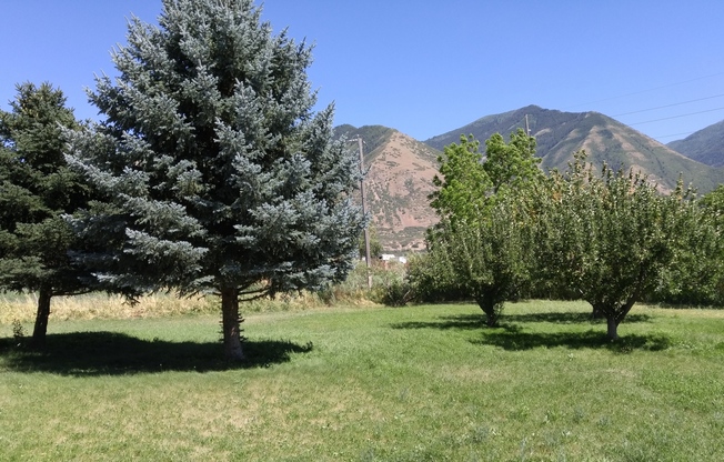 3 bedroom 1 bath home in south Spanish Fork