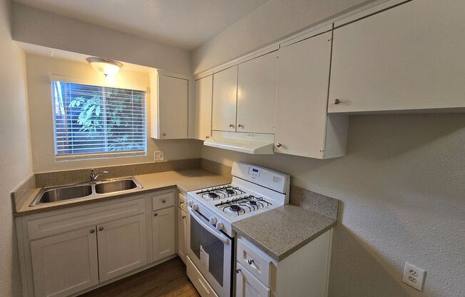 1 bed, 1 bath, 600 sqft, $1,795, Unit 109