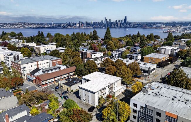 La Premiere Apartments | Prime North Admiral Location