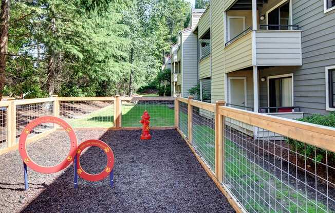 a fenced in pet park play area with a red fire hydrant and agility circles at 2000 Lake Washington Apartments, Renton, Washington