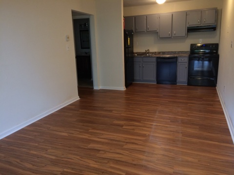 1 bed, 1 bath, 500 sqft, $975, Unit Unit 210