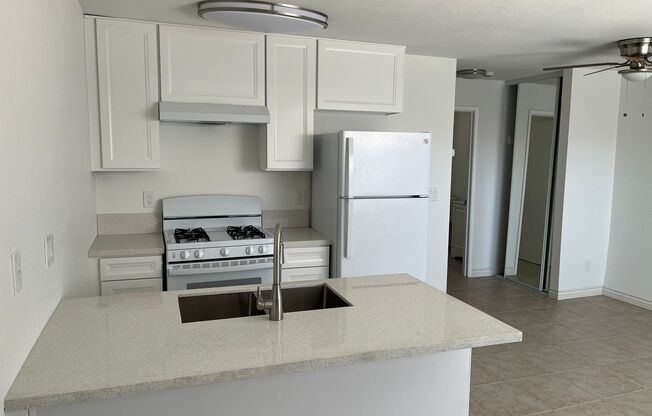 1 bed, 1 bath, $1,750