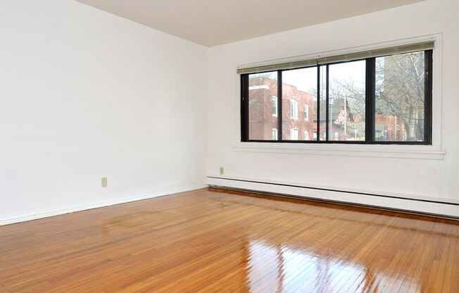 1 bed, 1 bath, 420 sqft, $895, Unit 1 - 02