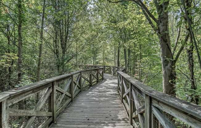 a wooden bridge in the middle of a forest