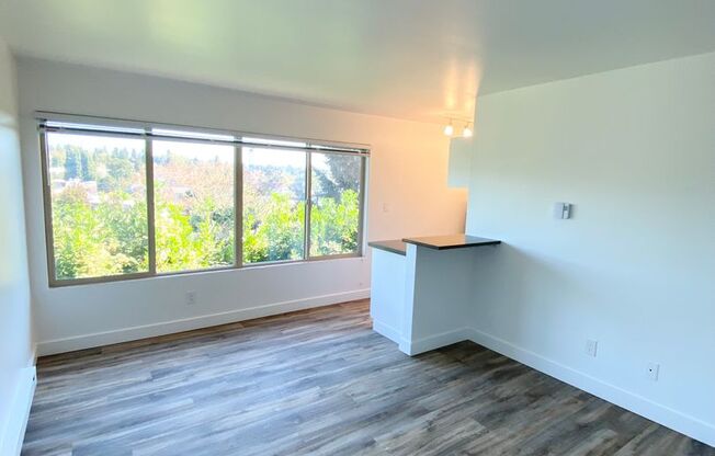 1 bed, 1 bath, 485 sqft, $1,450, Unit 114