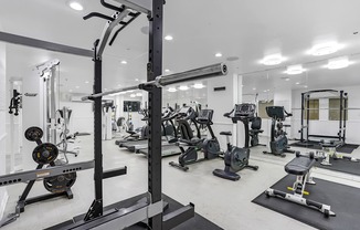 A well-equipped gym with various exercise machines and weights.