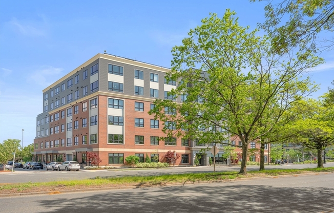 1 bed, 1 bath, 605 sqft, $2,850, Unit 415