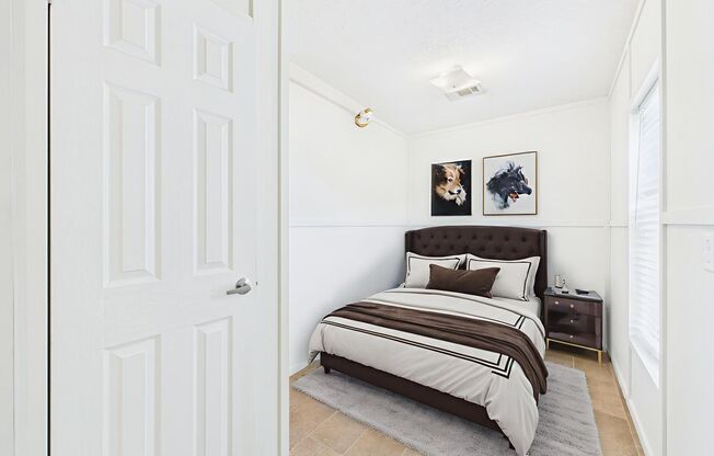 Charming & Efficient Living at 109 Ann Street