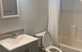 1 bed, 1 bath, 1,100 sqft, $650, Unit Bedroom 1