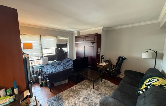 Studio, 1 bath, $1,450, Unit 908