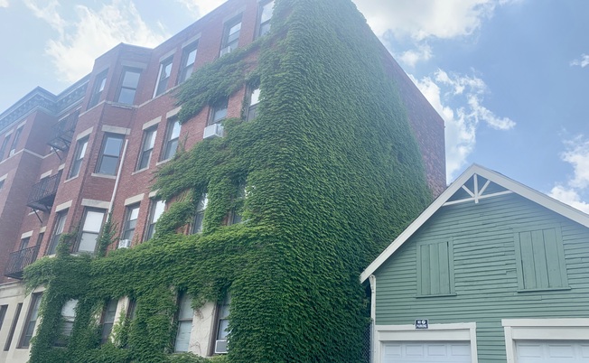 Reedsdale St Apartments near Commonwealth in Allston, MA