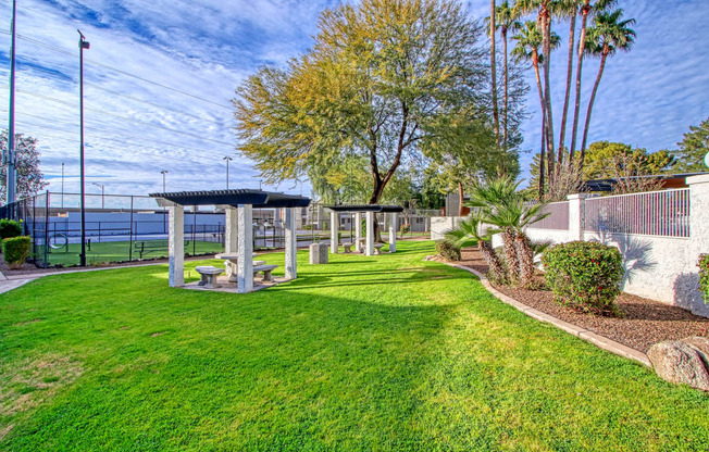 a grassy area with a pergola and trees in the background