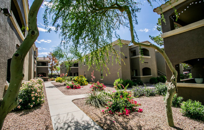 Beautiful Landscaping at Apartments in Happy Valley AZ