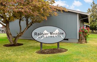 Rainier Meadow