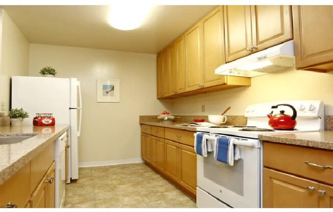 a kitchen with a stove and a refrigerator