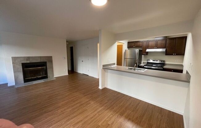 (1K) Kristine Apartments