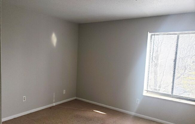 2 beds, 2 baths, 1,100 sqft, $1,295, Unit 1600-311
