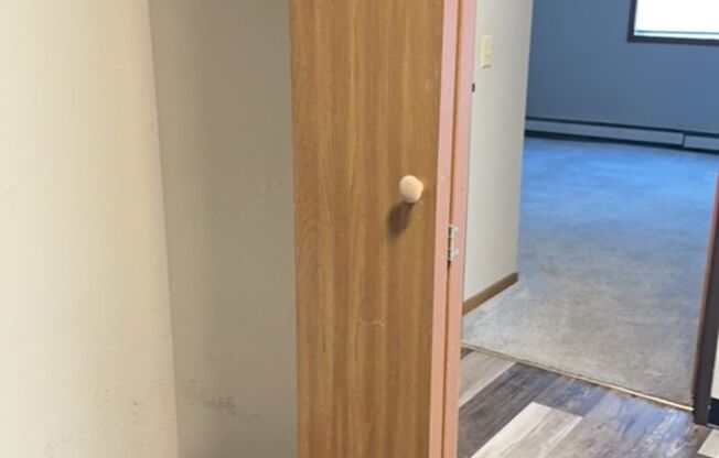 1 bed, 1 bath, 623 sqft, $497, Unit LV 104