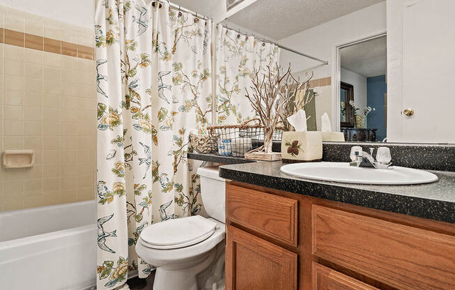 bathroom with a sink, toilet and a shower tub