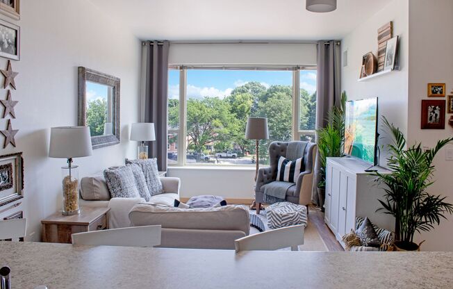 1 bed, 1 bath, 593 sqft, $1,135, Unit 434