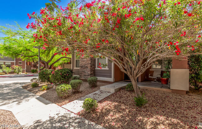 18904 N. 43rd Way Phoenix AZ
