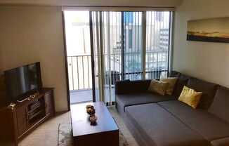 Nicely furnished two bedroom two bath Condo in Harbor Square, Town Tower.