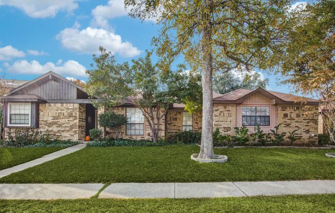 3 Bedroom Duplex - Updated and Bright - Available Now!