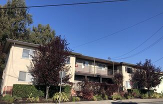 Dimond Ave