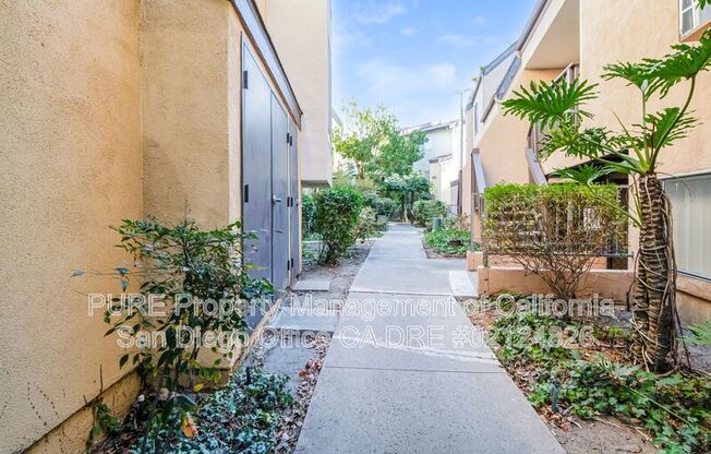 7960 MSN CTR CT