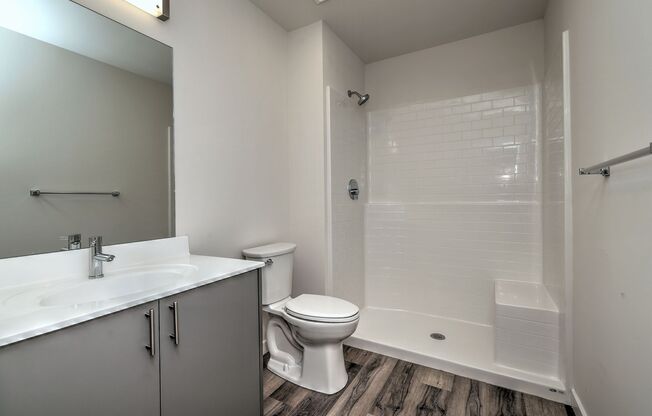 1 bed, 1 bath, 740 sqft, $3,000, Unit Apt 1301