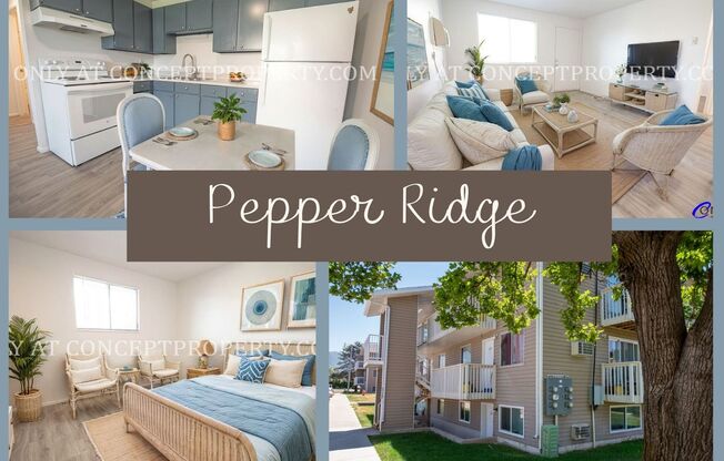 1 bed, 1 bath, 480 sqft, $920, Unit 125