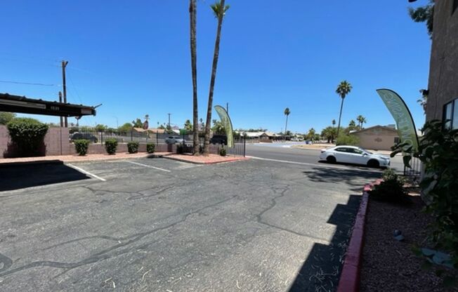 Majestic Palms