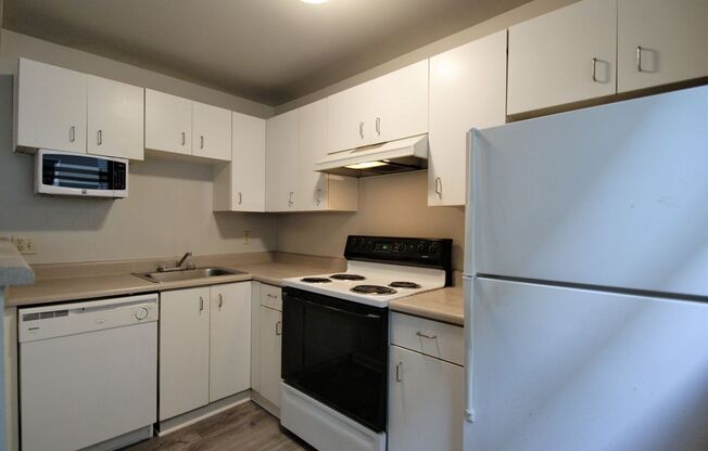 1 bed, 1 bath, 583 sqft, $1,375, Unit 120