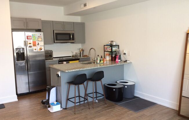 Studio, 1 bath, 575 sqft, $1,425, Unit Unit 407