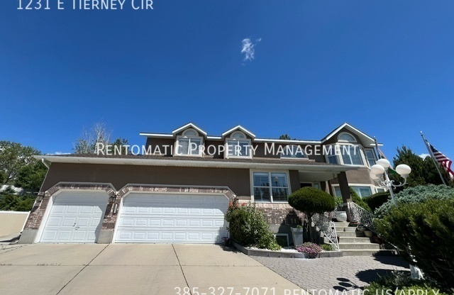 1231 E TIERNEY CIR