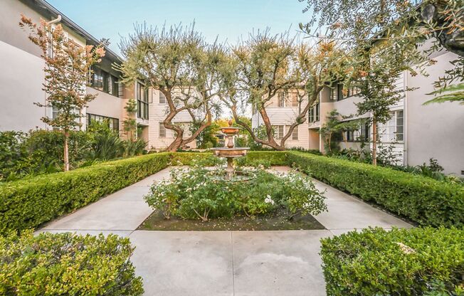 Home-Sweet-Home Vibe in Olive Tree!