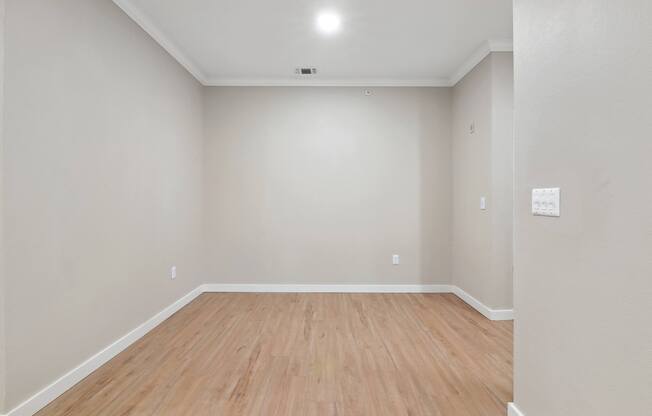 Large Living Area at The Canyons Apartments, Fort Worth, Texas