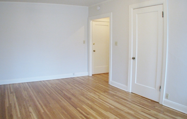 Studio, 1 bath, 390 sqft, $1,200, Unit 407