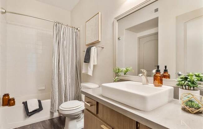 a bathroom with a sink and a toilet and a shower at Mirasol Apartments, Nevada