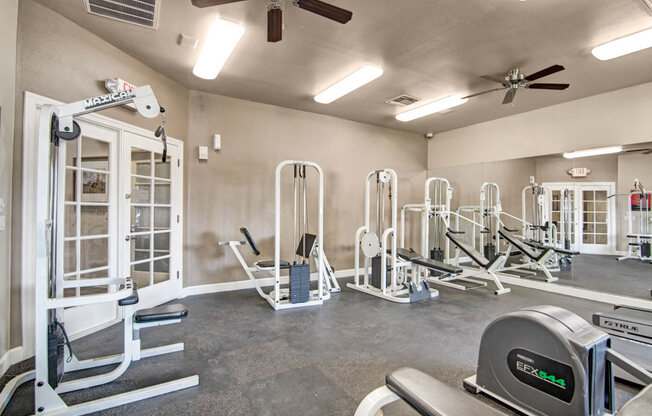 Paradise Falls Indoor Gym