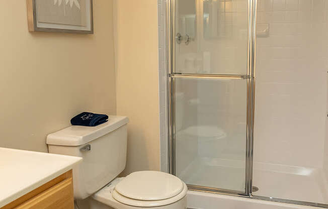 A bathroom with a toilet, a sink, and a shower.